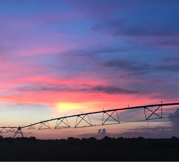 irrigation sunset